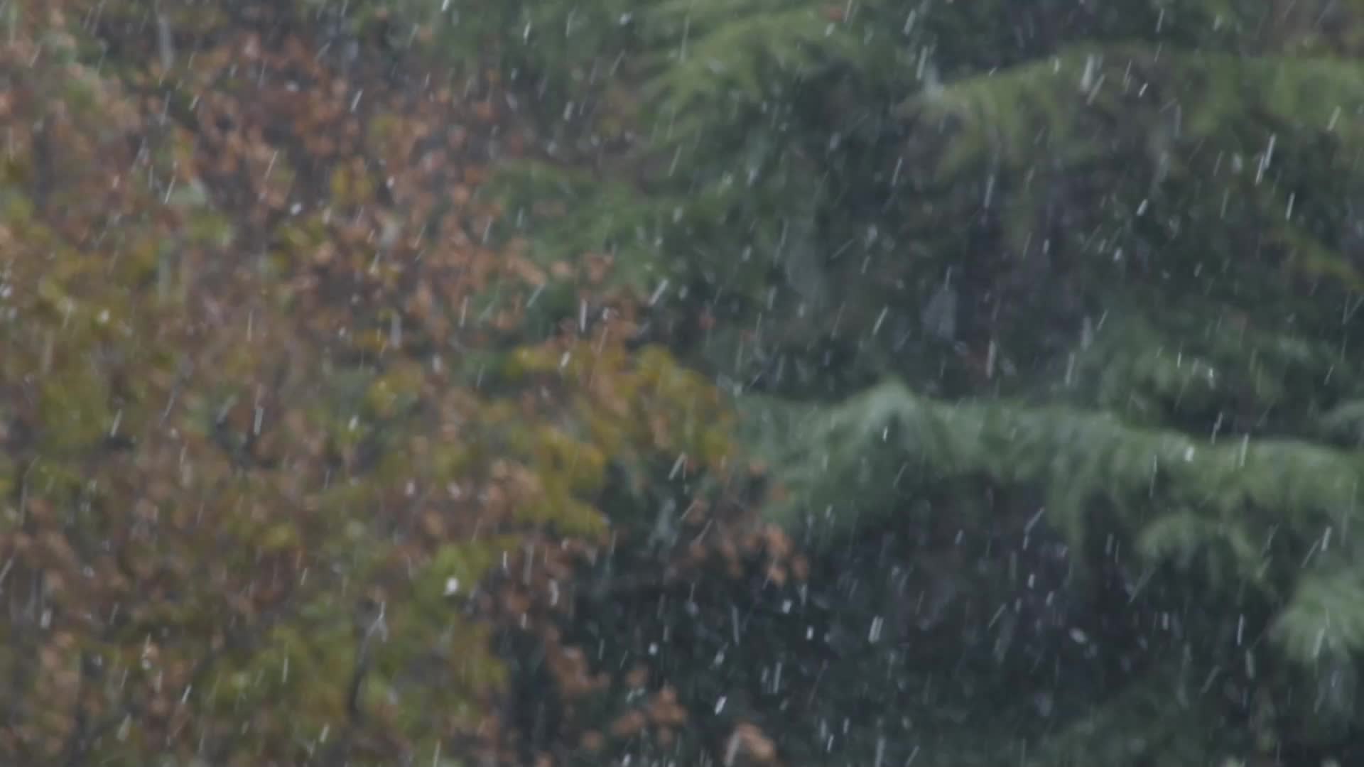 河南鹤壁雪景高清实拍视频视频的预览图