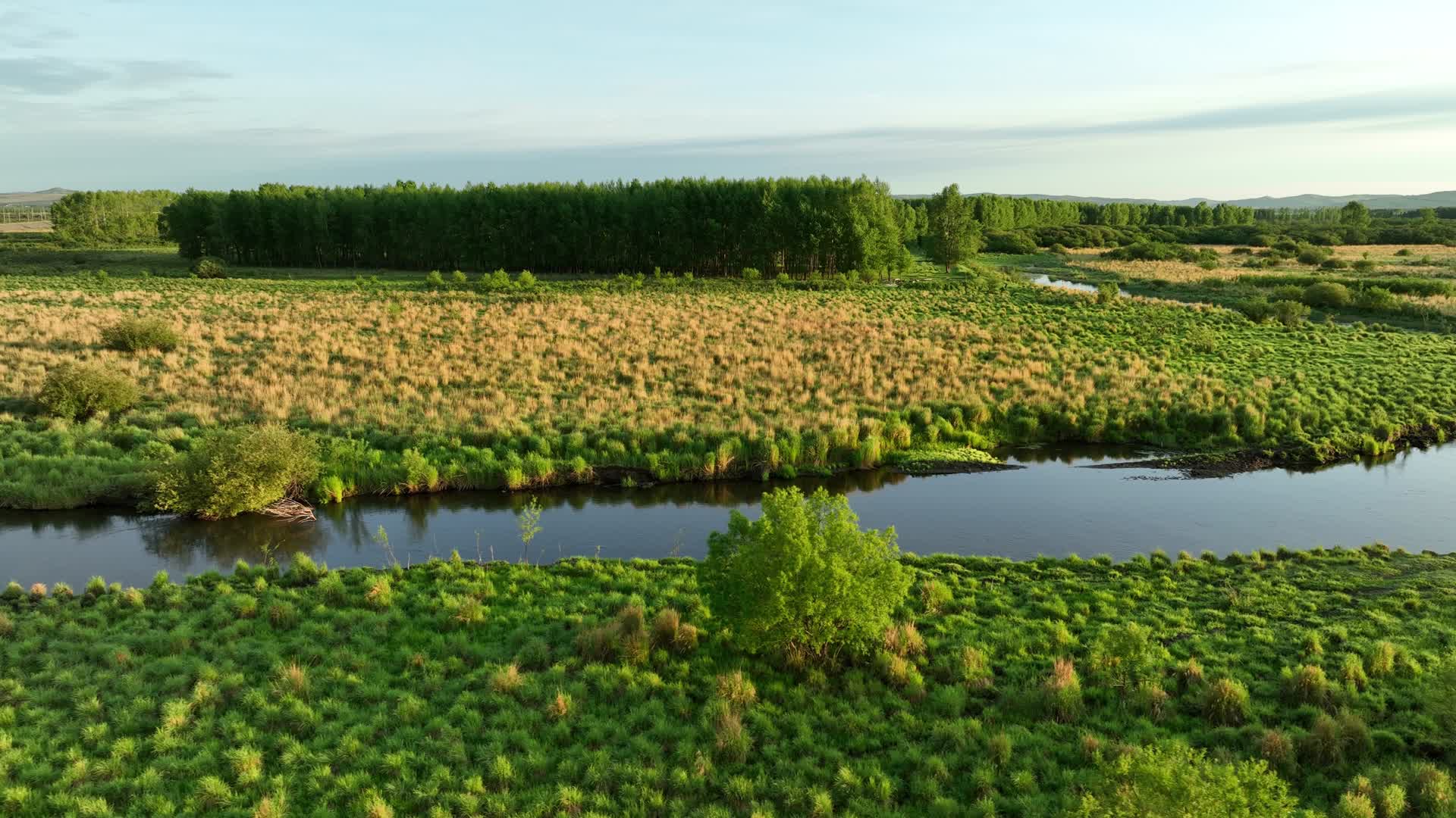 航拍大兴安岭河流湿地夏日风景视频的预览图