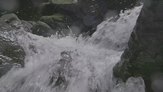浙江温州泰顺县乌岩岭白天山涧流水慢镜头视频的预览图