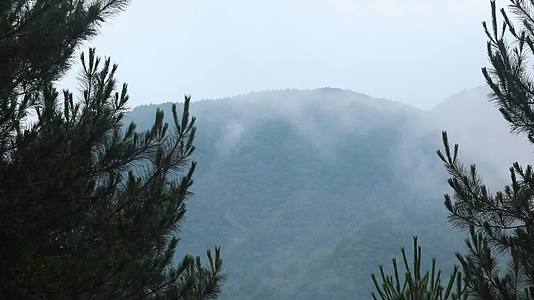 4K浙江温州泰顺县乌岩岭白天山间云雾视频的预览图