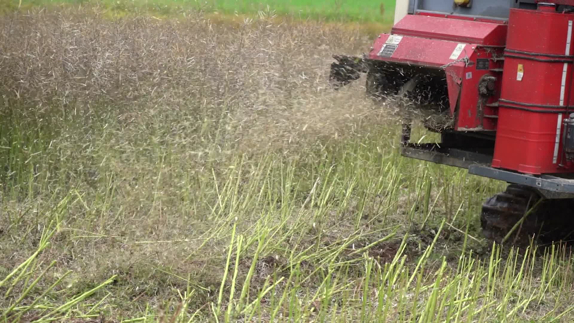 4K农业丰收农业三农农田田野收割实拍视频视频的预览图