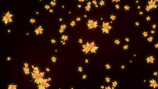 枫叶落叶五叶枫叶树叶带透明通道秋天视频的预览图
