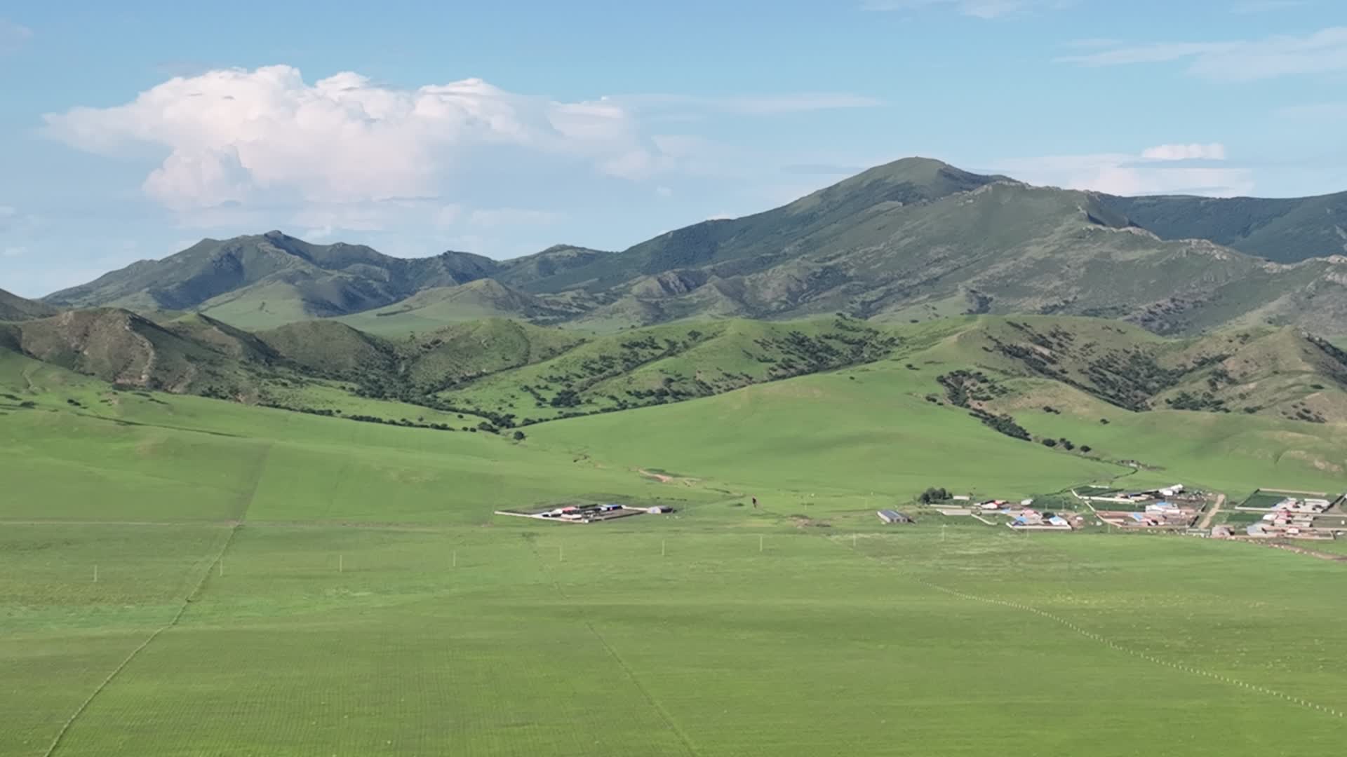 山地草原全景视频的预览图