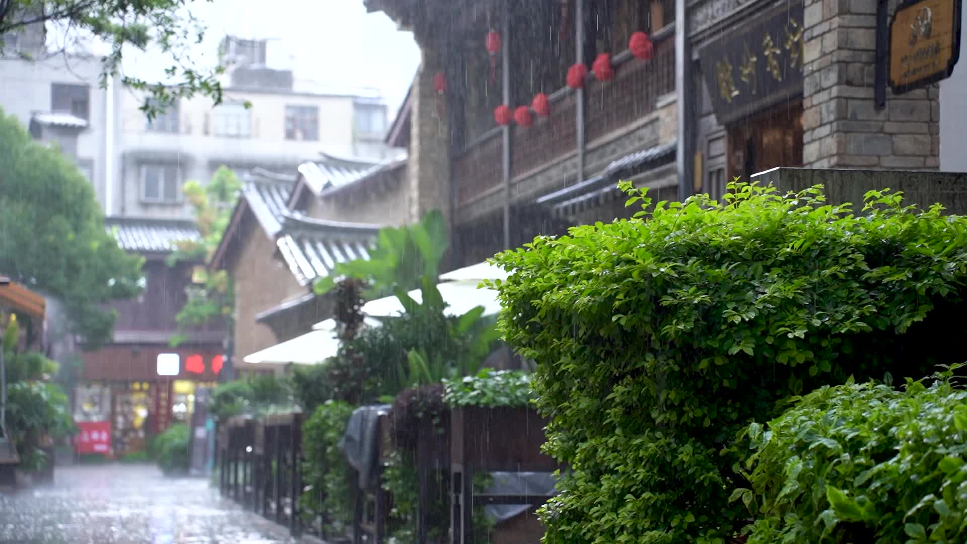 昆明老街下雨天60帧视频的预览图