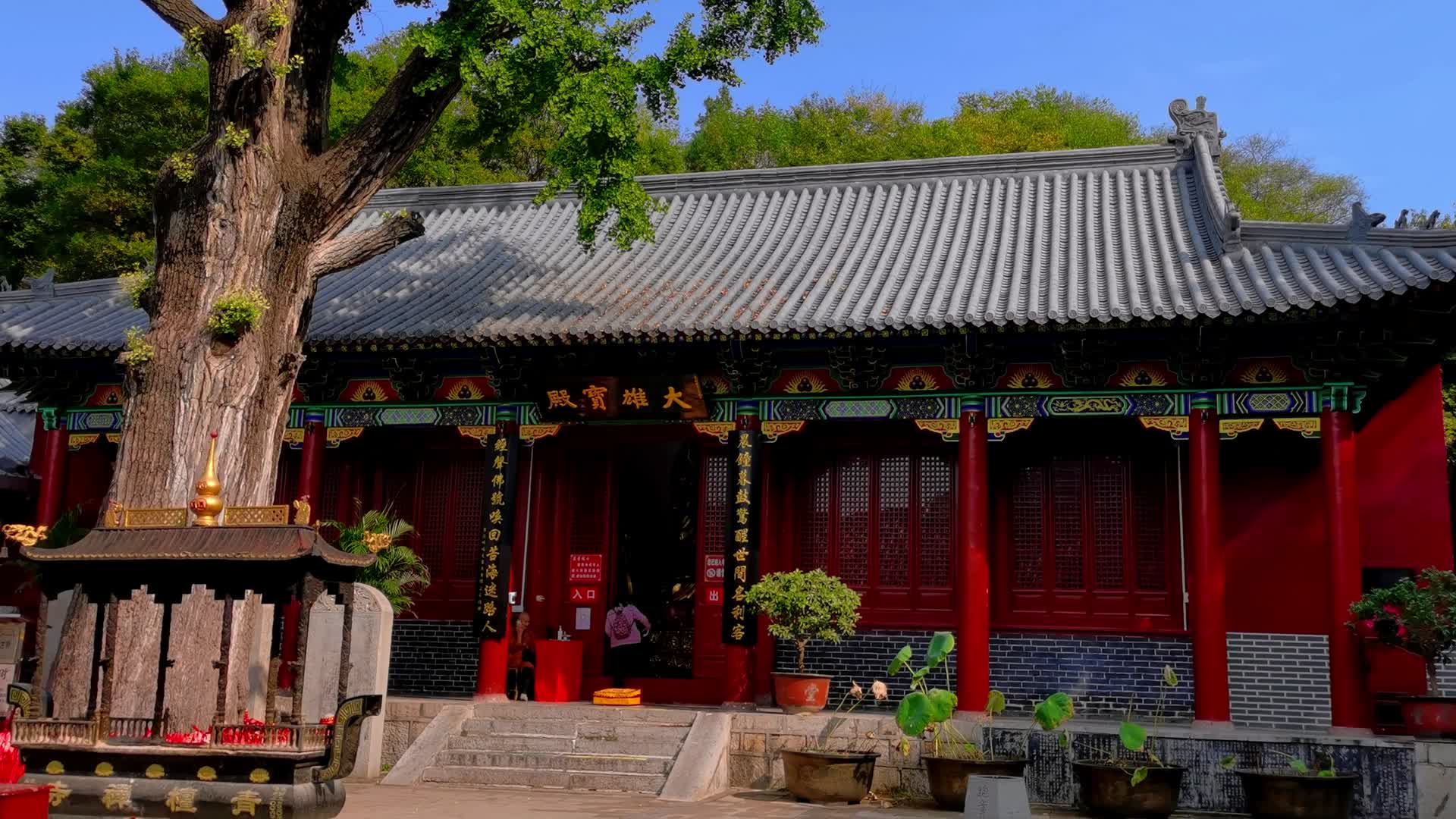 枣庄青檀寺视频的预览图