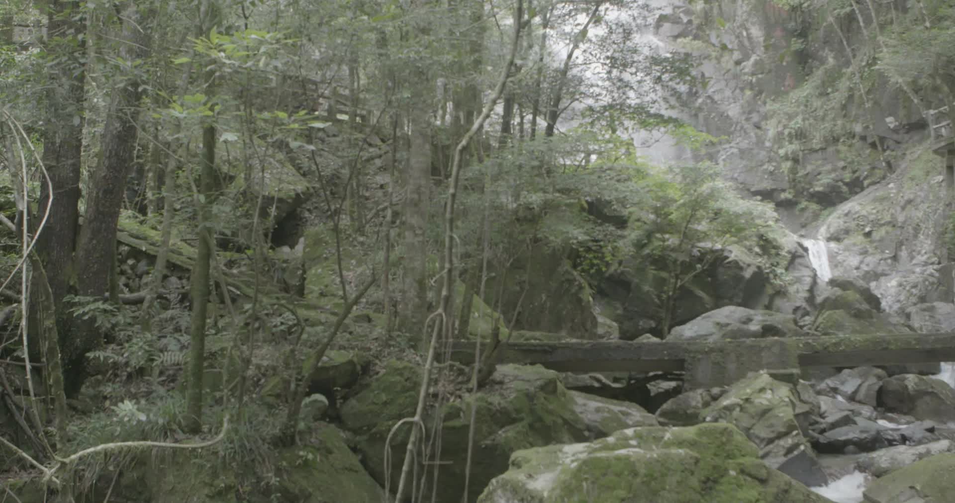 浙江温州泰顺县乌岩岭行人走过瀑布边栈道视频的预览图