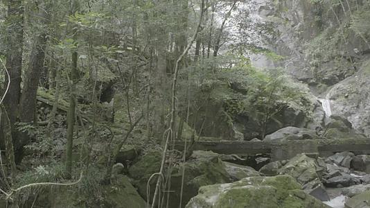 浙江温州泰顺县乌岩岭行人走过瀑布边栈道视频的预览图