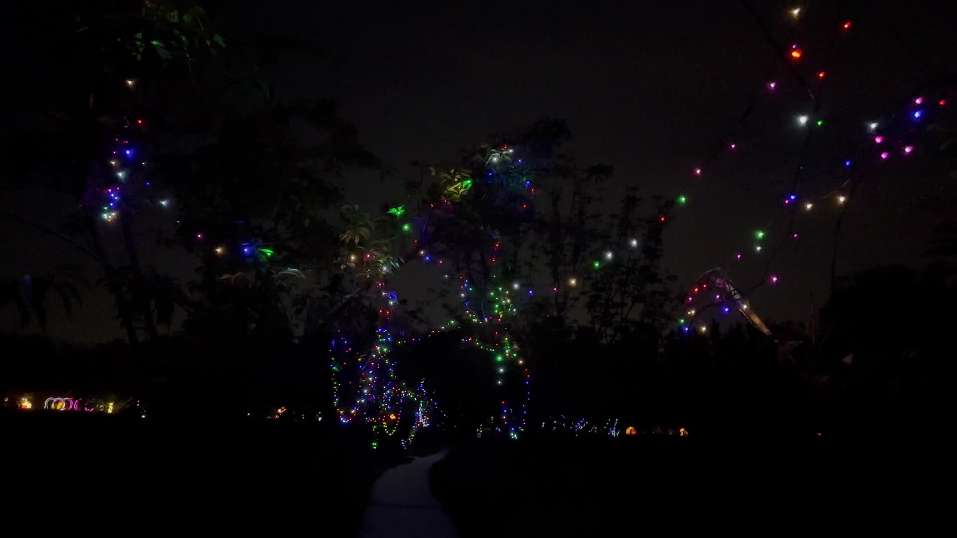北京夜幕下的灯光秀灯会灯展视频的预览图