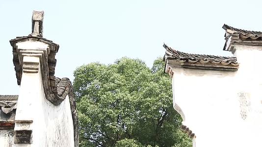 J浙江杭州龙门古镇老房子4K实拍视频1视频的预览图