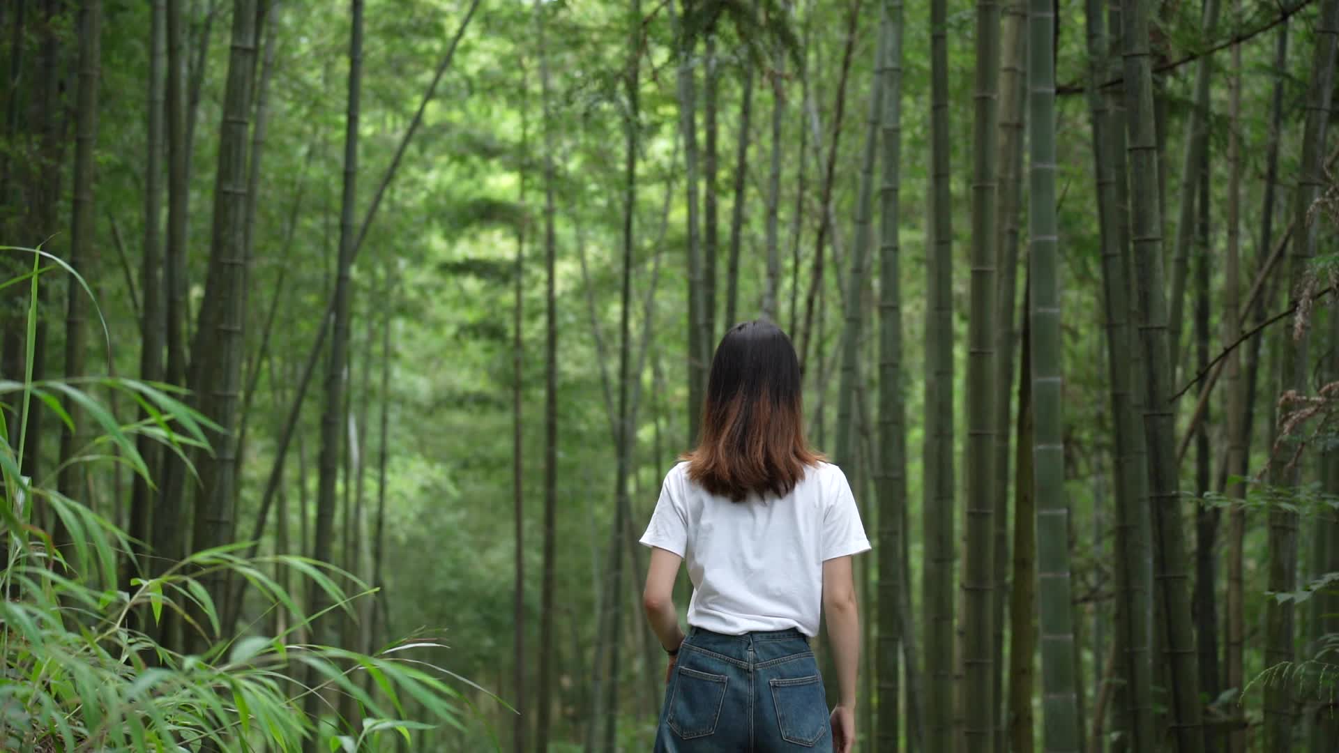 美女行走在竹林间视频的预览图