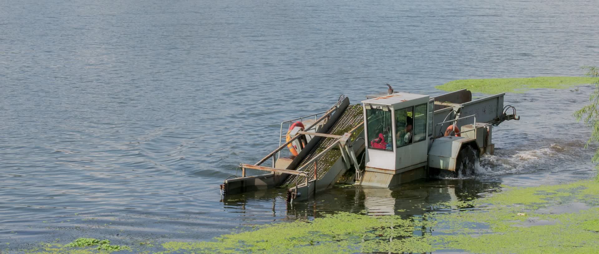 清污船清理河槽水草垃圾环卫保洁浑河沈阳视频的预览图