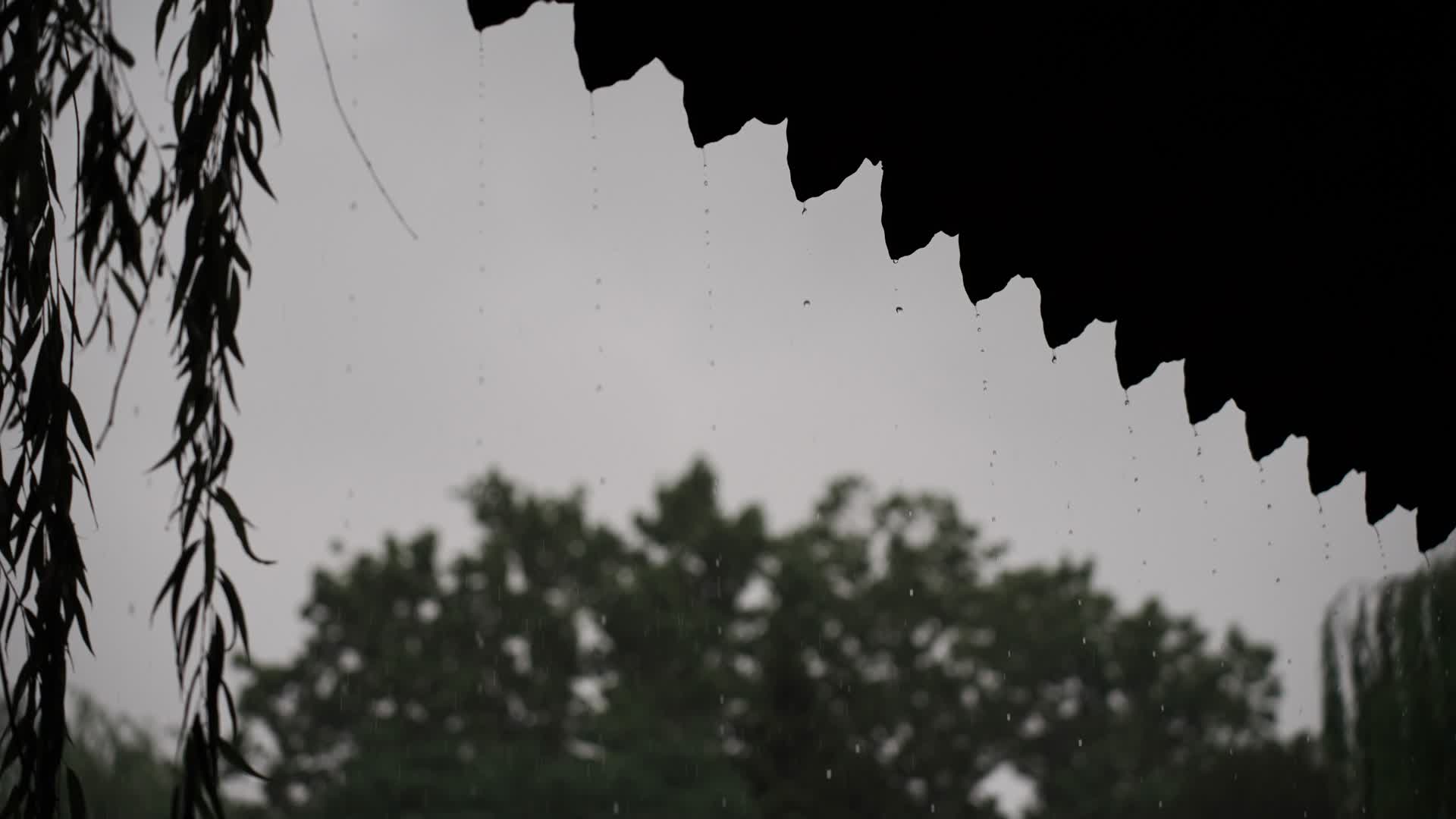 立夏房檐雨横屏视频的预览图