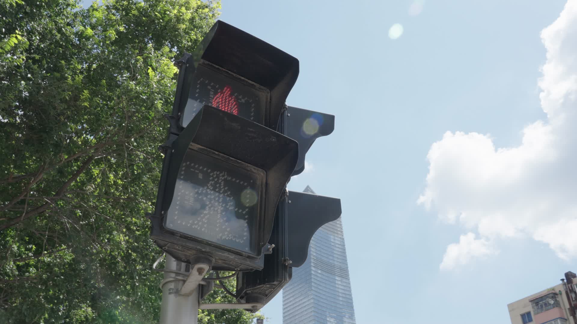 人行道变换红绿灯视频的预览图