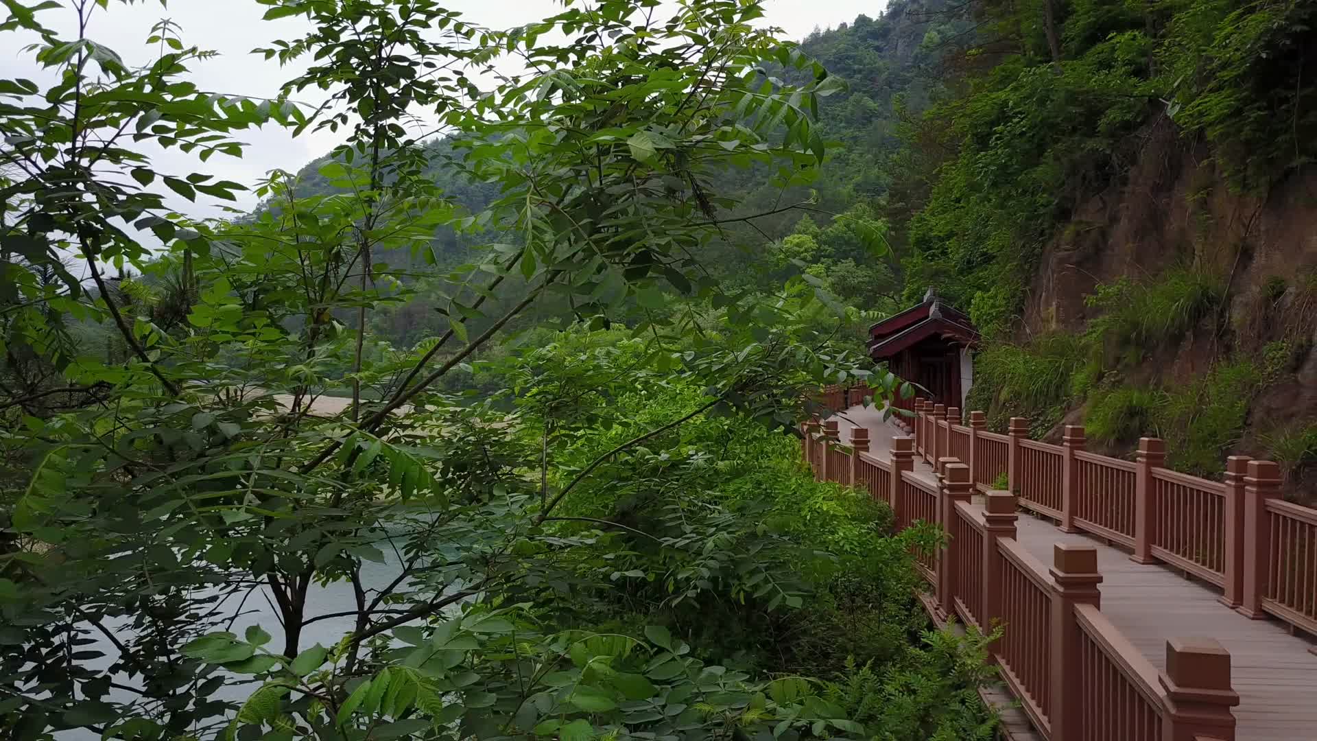 C浙江仙居木桥4k航拍视频视频的预览图