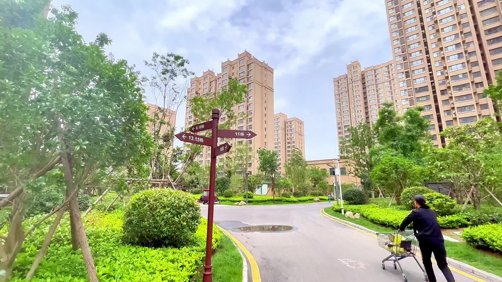 城市小区人物走路绿化环境视频的预览图