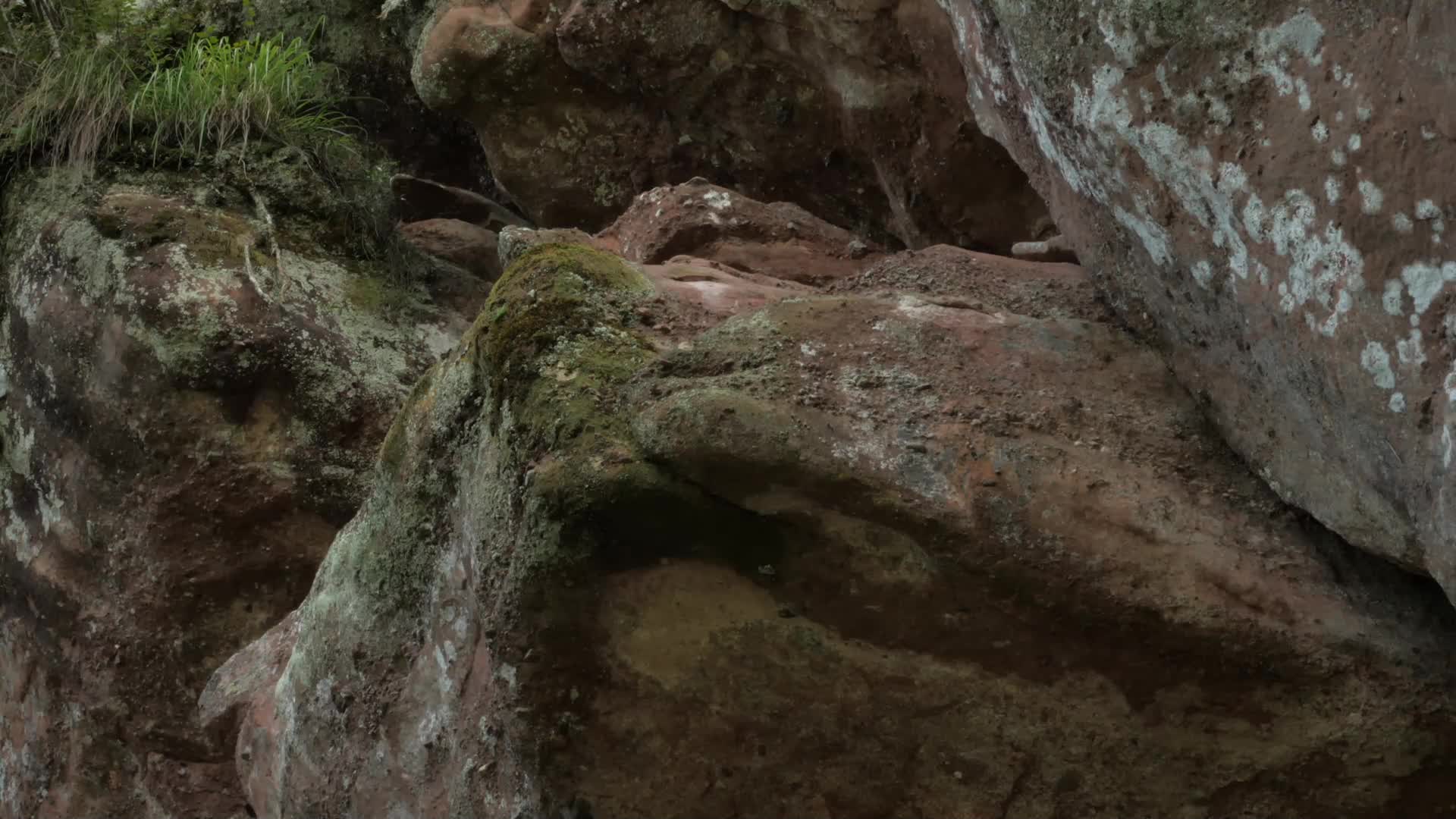 J安徽黄山岩石实拍视频1视频的预览图