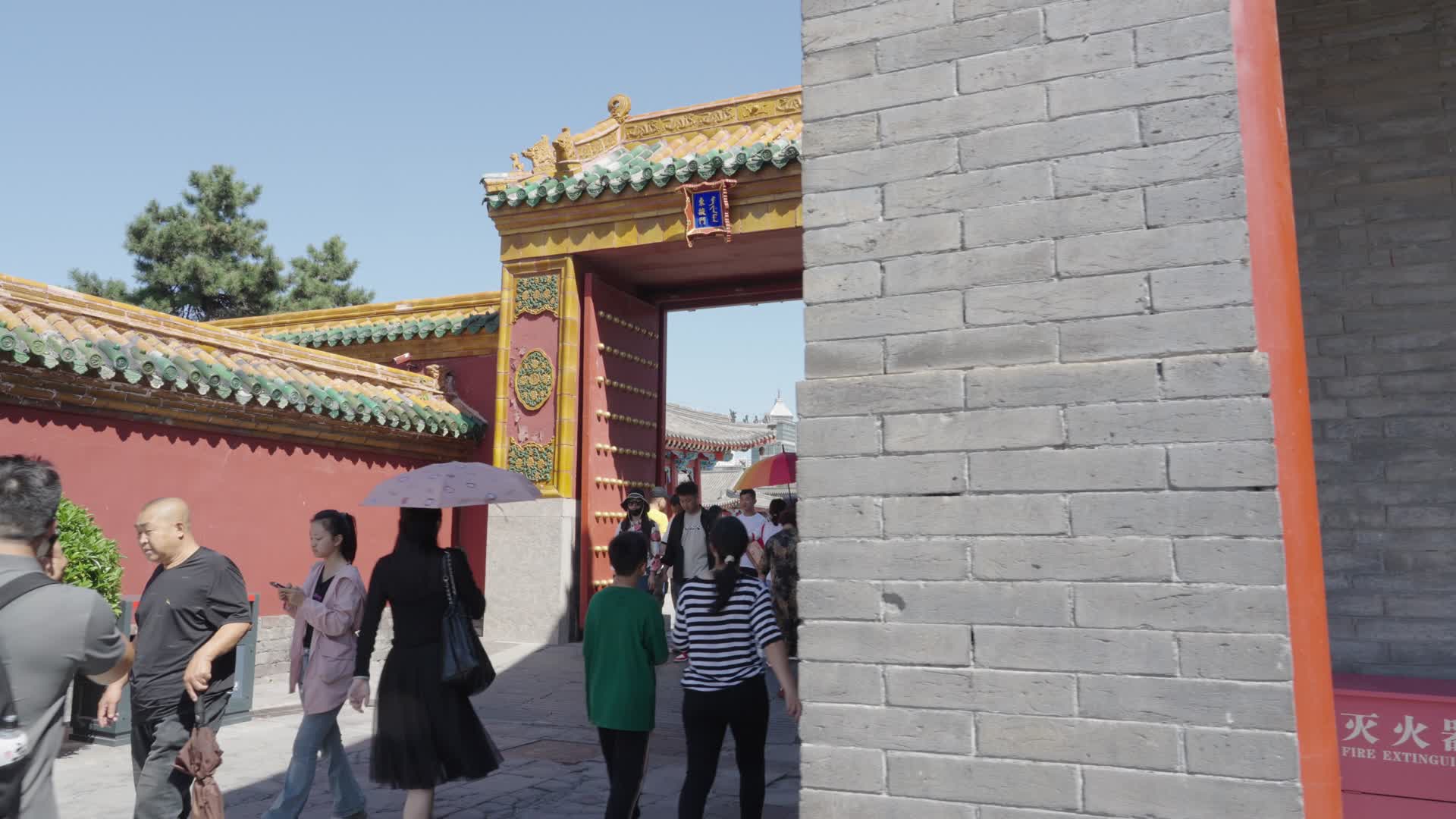 故宫里的游客视频的预览图