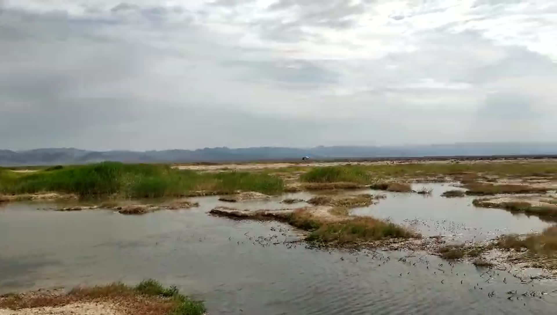 隔壁中的湿地视频的预览图