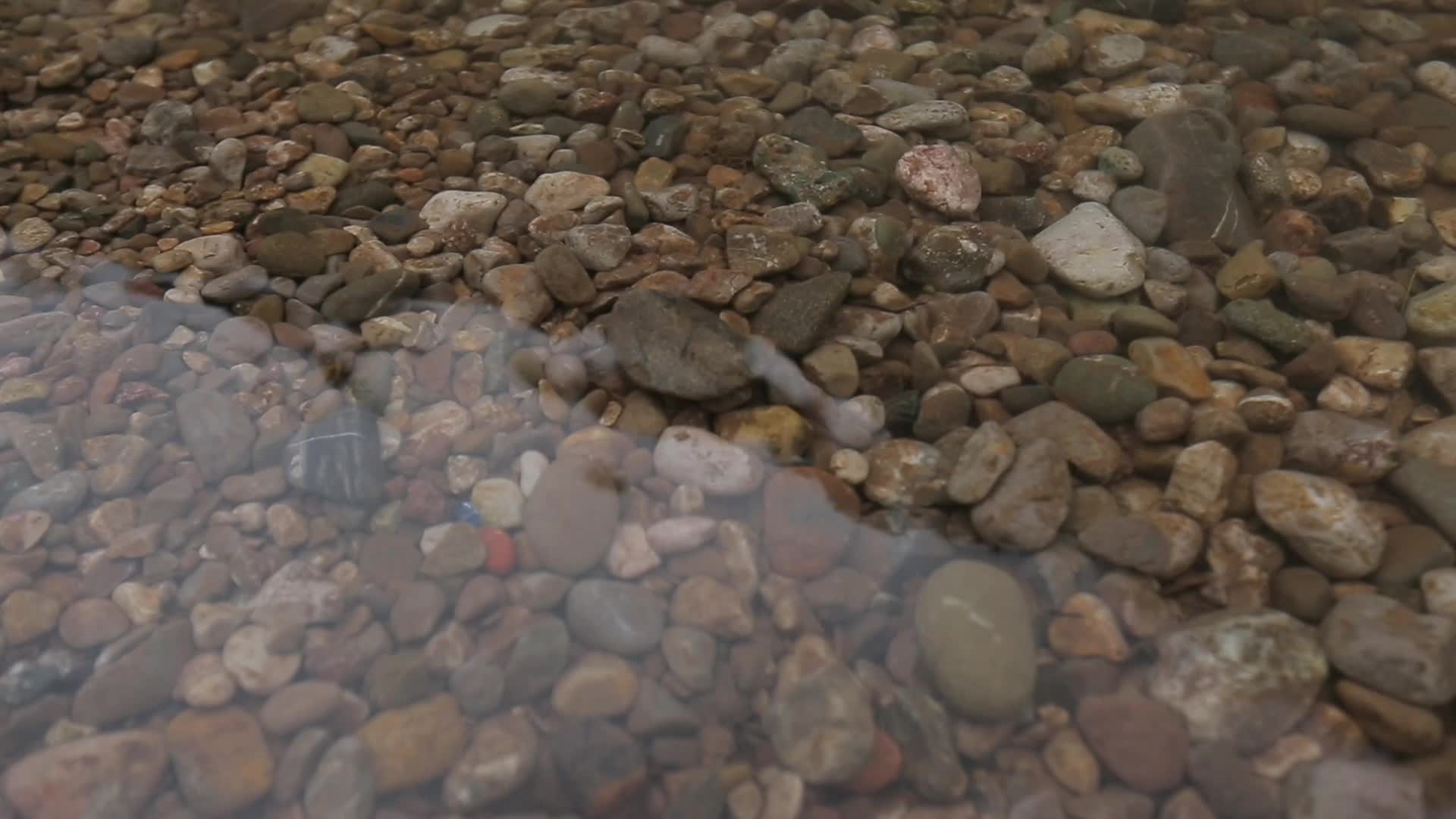 C四川青城山湖底石高清实拍视频视频的预览图