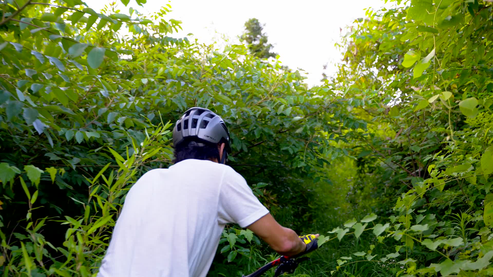 合集山地自行车草中运动视频的预览图