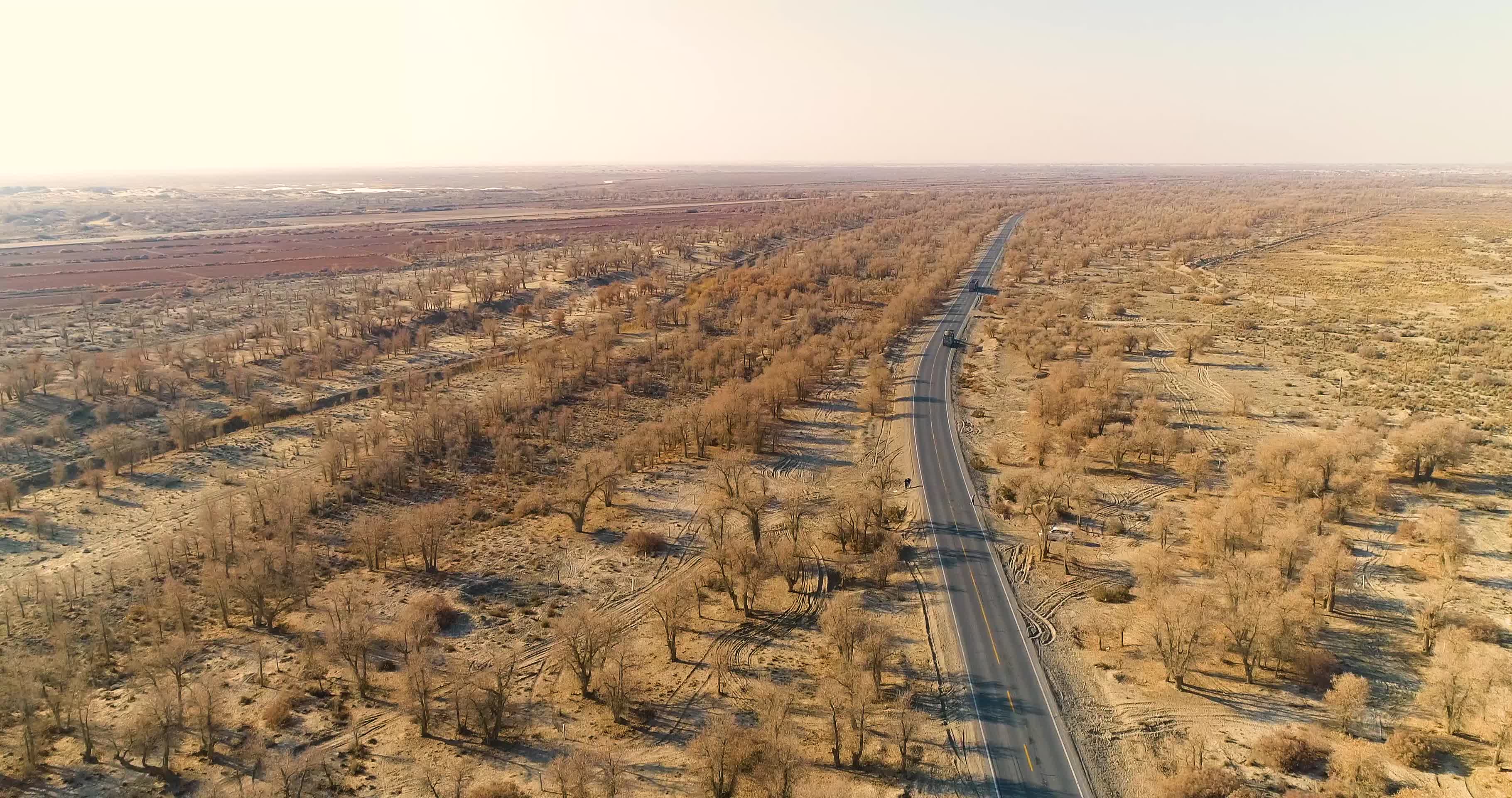 4K新疆塔克拉玛干沙漠公路旅行视频的预览图