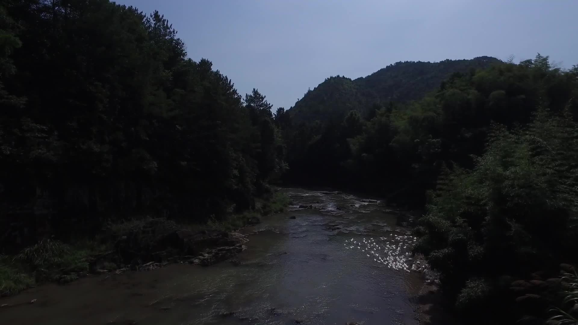 浙江温州泰顺县乌岩岭溪流航拍视频的预览图
