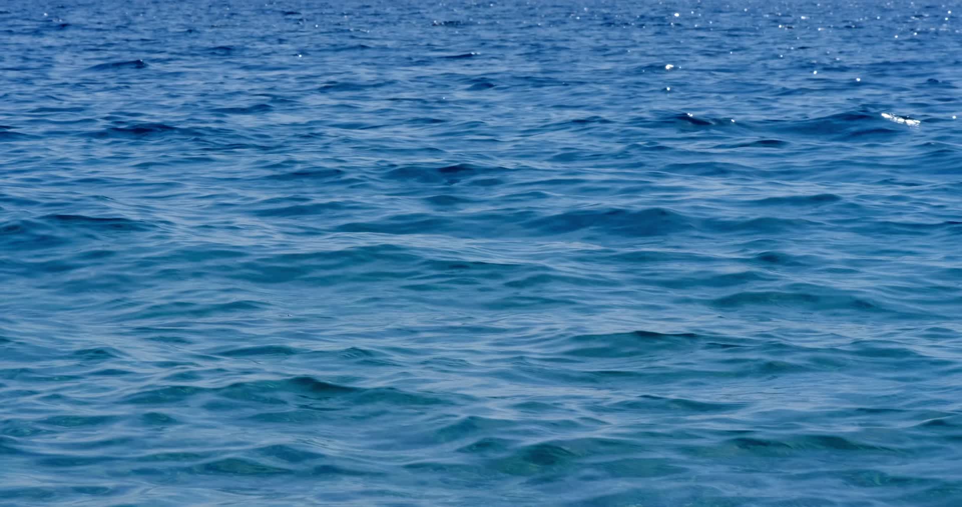 4K海平静波浪视频的预览图