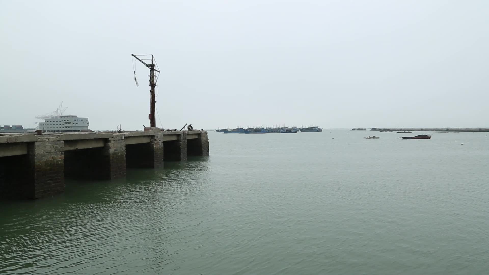 C福建晋江围头村码头高清实拍视频的预览图