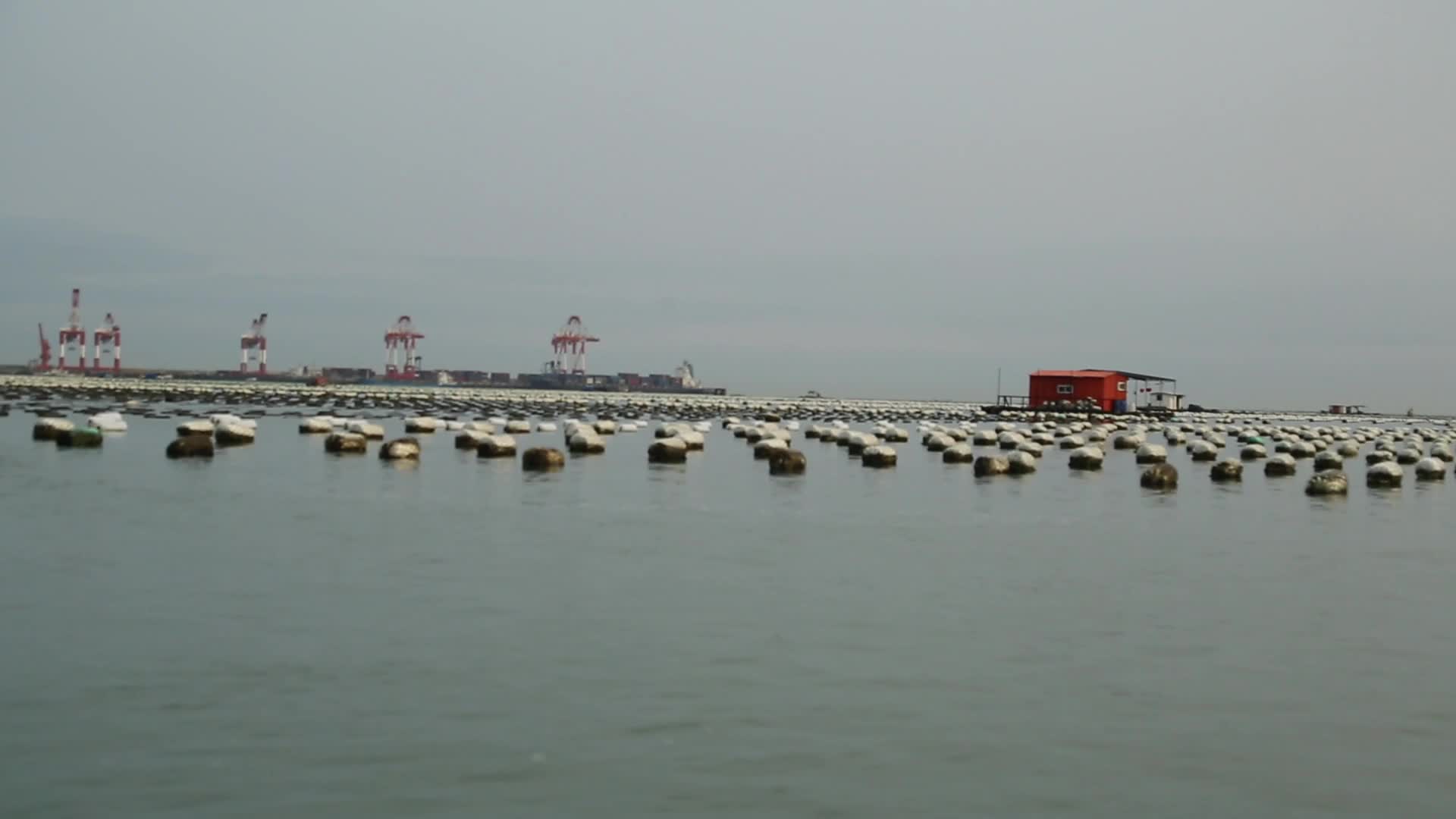 C福建晋江围头村海上高清实拍视频视频的预览图