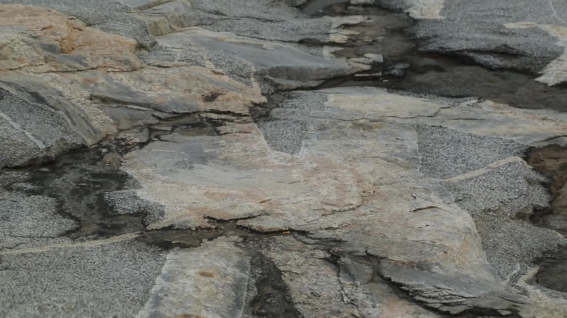 C福建晋江围头村岩石海滩高清实拍视频视频的预览图
