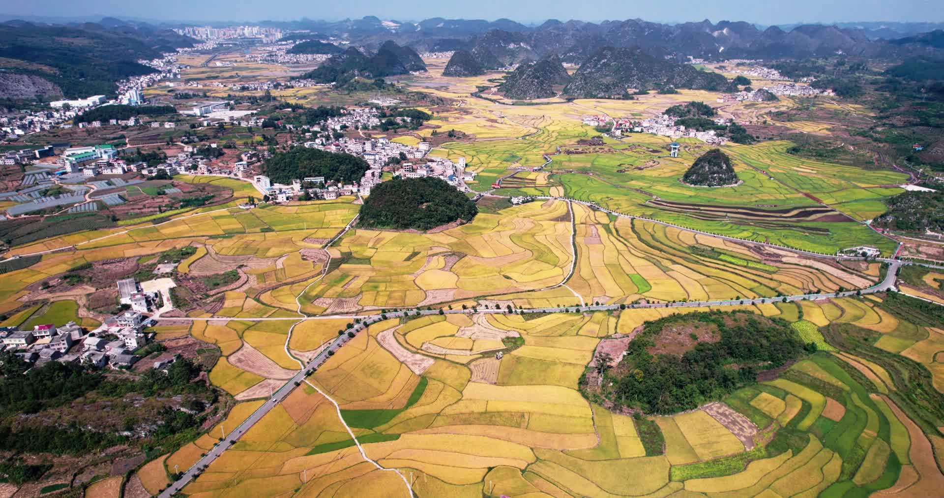 4k航拍农业乡村水稻稻田图案视频的预览图