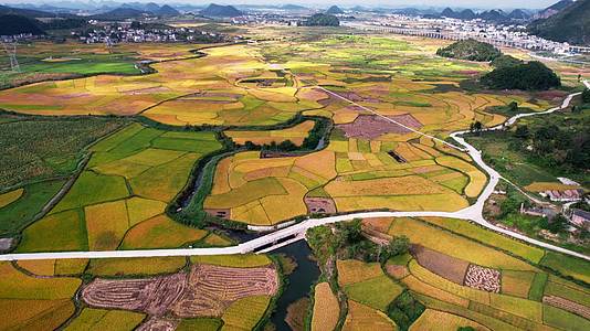 4k航拍云贵川农村田园水稻丰收视频的预览图