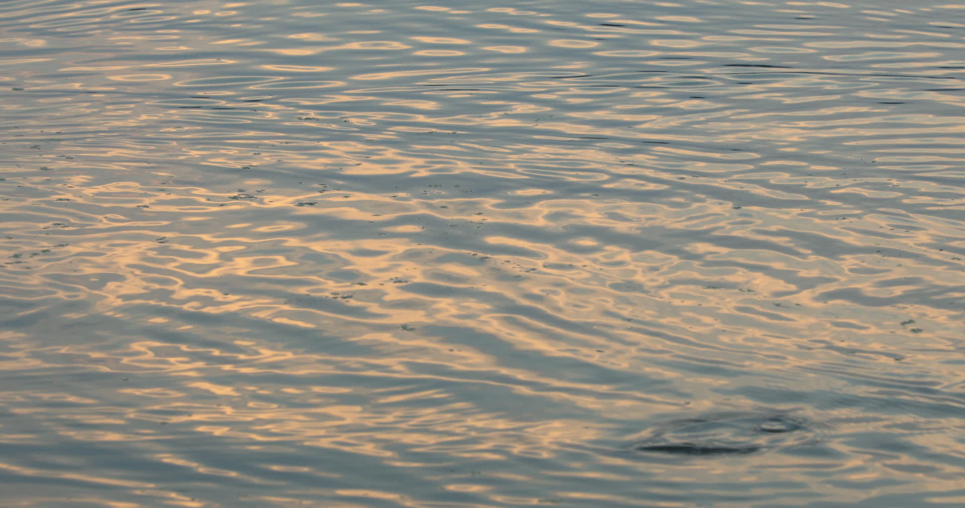 波光粼粼的水面4k自然风光实拍视频视频的预览图