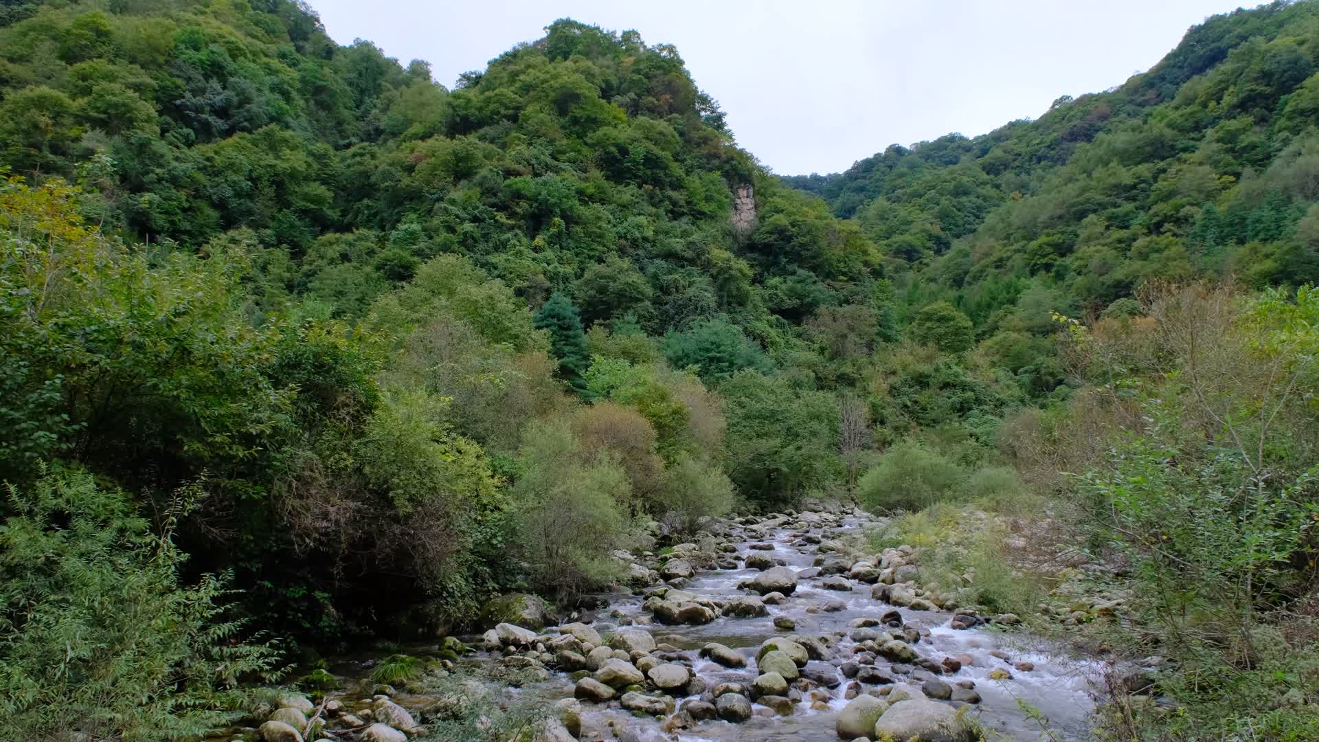 山中森林小溪云雾缭绕的绝美自然风光视频的预览图