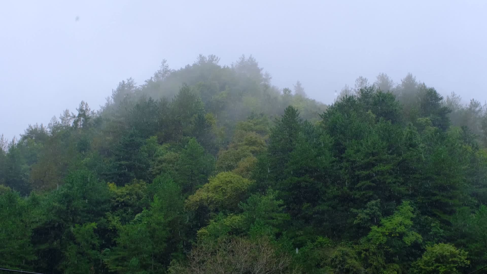 初秋雨中山脉云雾缭绕的绝美自然风光视频的预览图