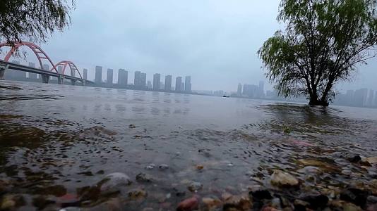 4K城市江边自然风景实拍视频的预览图