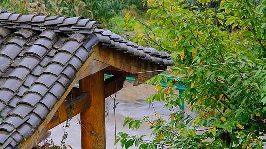 初秋山中农村雨中滴水的屋檐和树叶视频的预览图