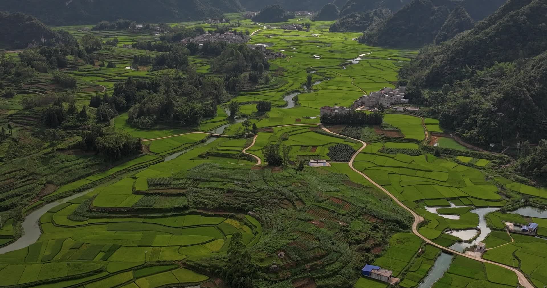 航拍广西靖西平江村田园自然风光视频的预览图