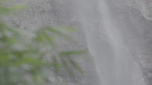 C丹霞山马尾泉瀑布竹叶空镜头视频的预览图