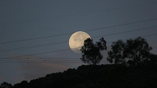 超大超圆的月亮视频的预览图