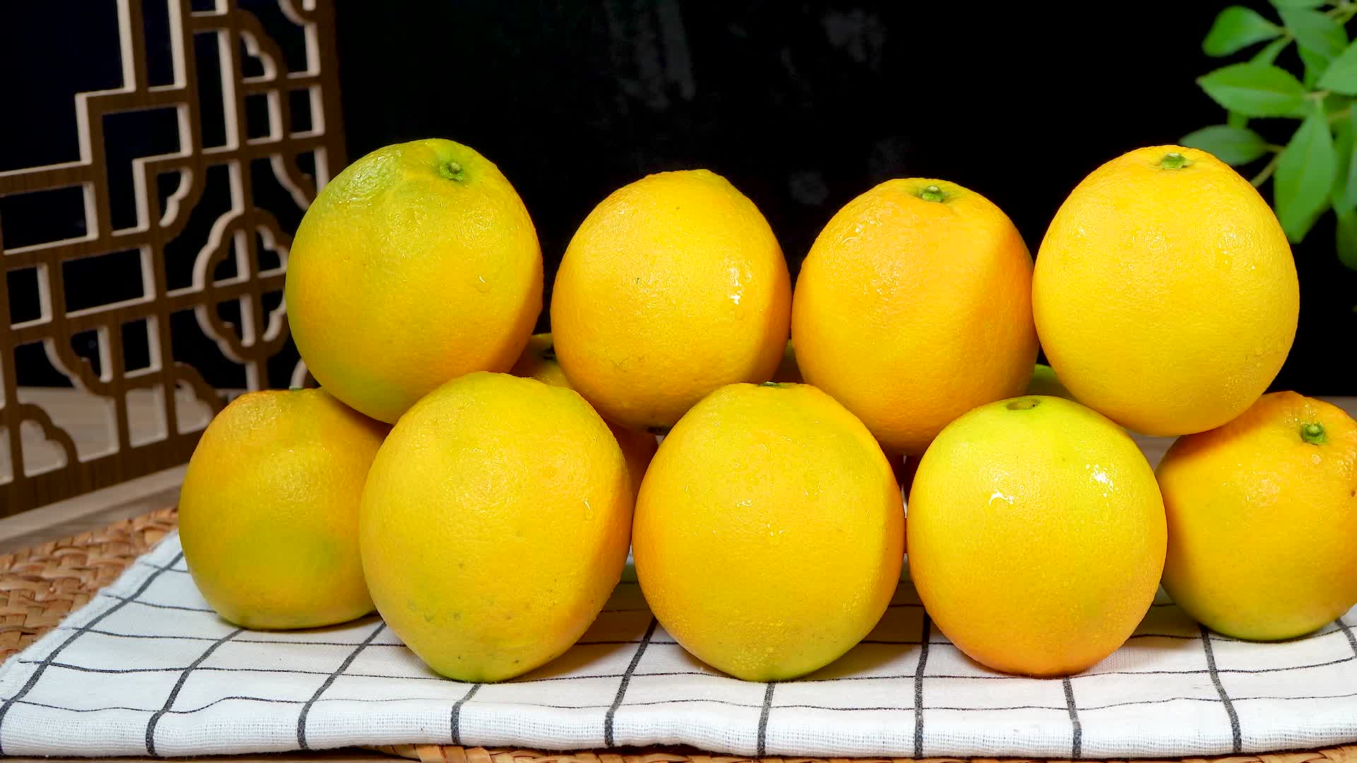 赣南脐橙视频的预览图