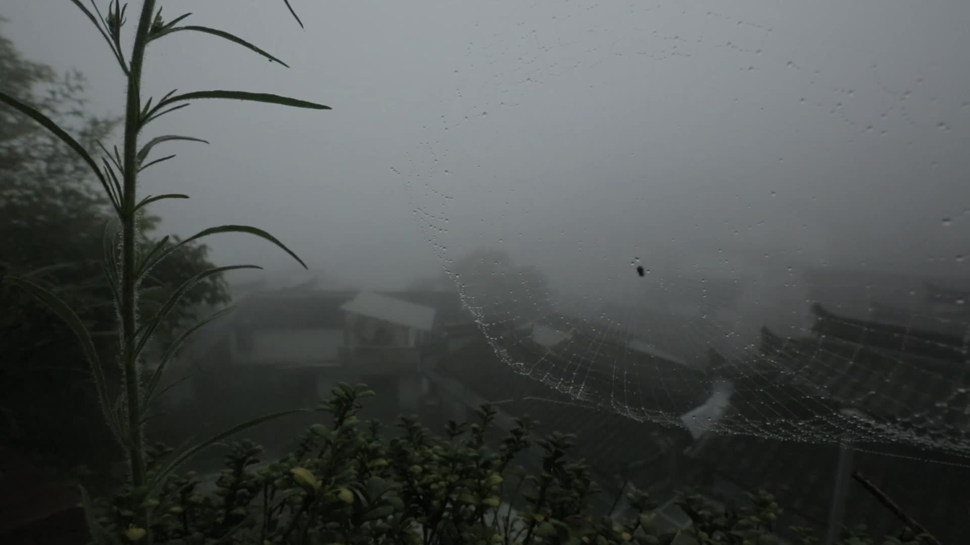 C安徽黄山白云山迷雾村落实拍视频视频的预览图