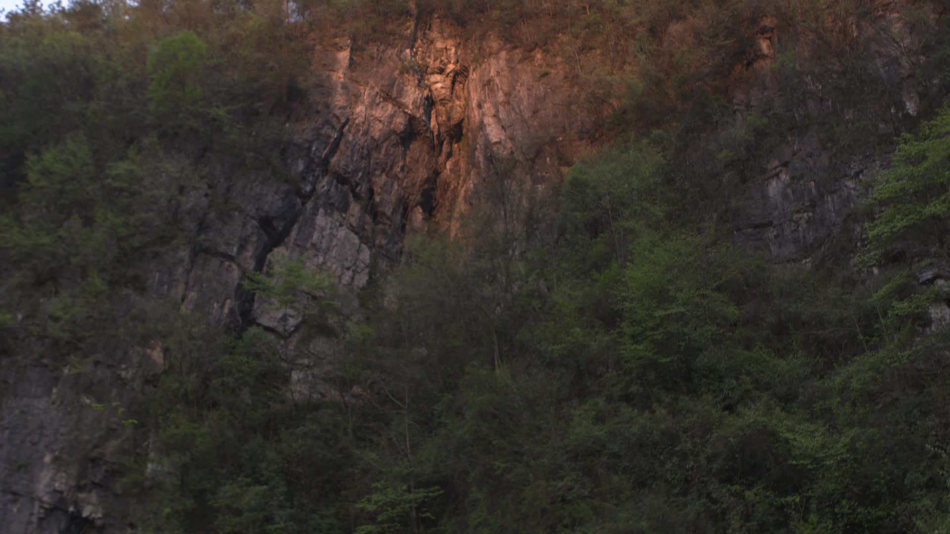 C湖南花垣森林日暮高清移轴视频的预览图