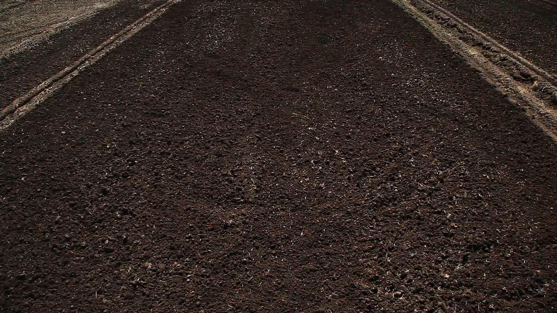 黑土地耕种犁地种植视频的预览图
