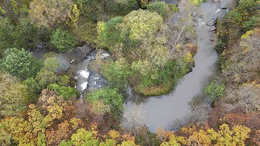 北方秋季五花山溪水视频的预览图
