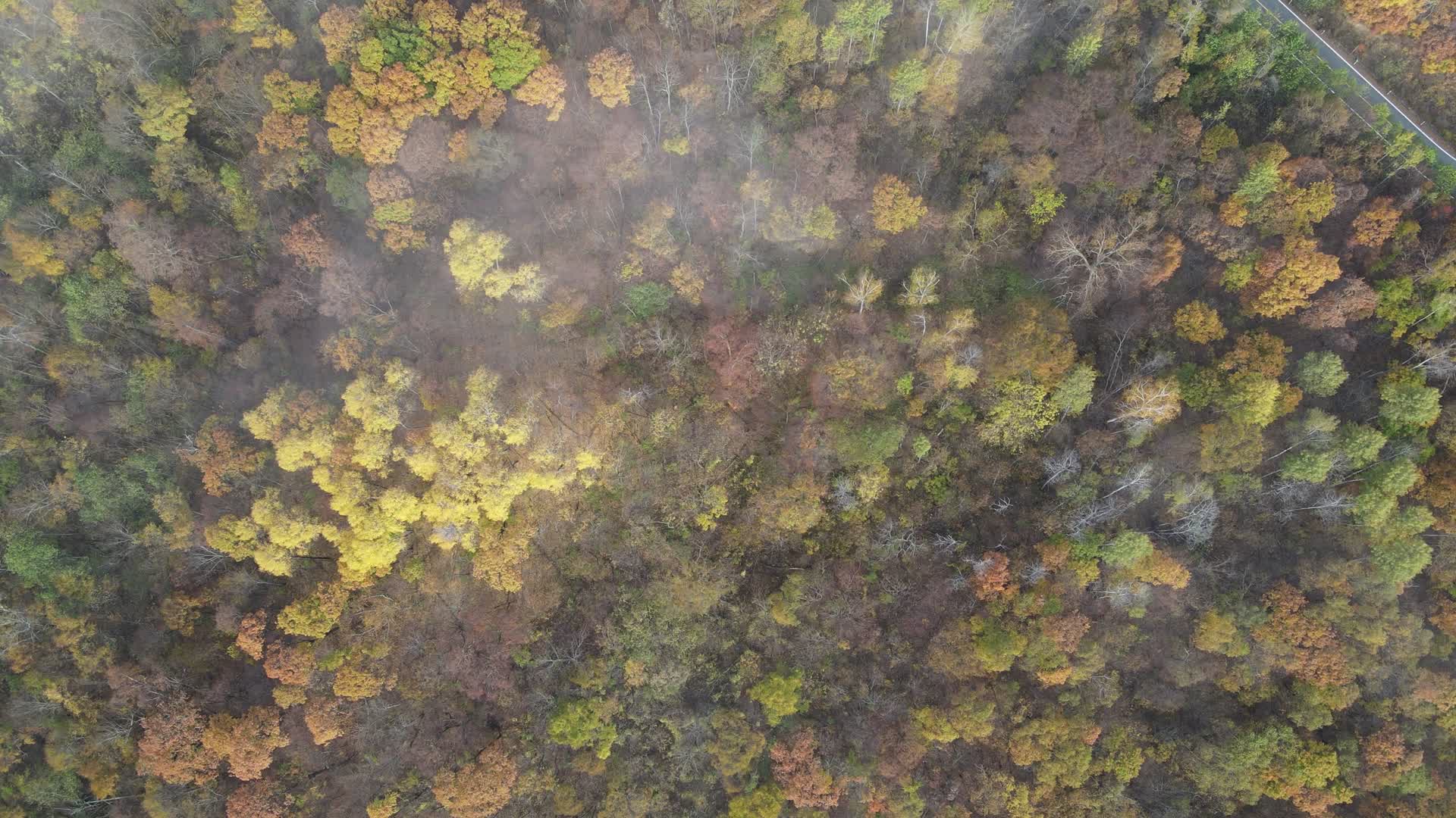 北方秋季风光五花山溪水国道331视频的预览图