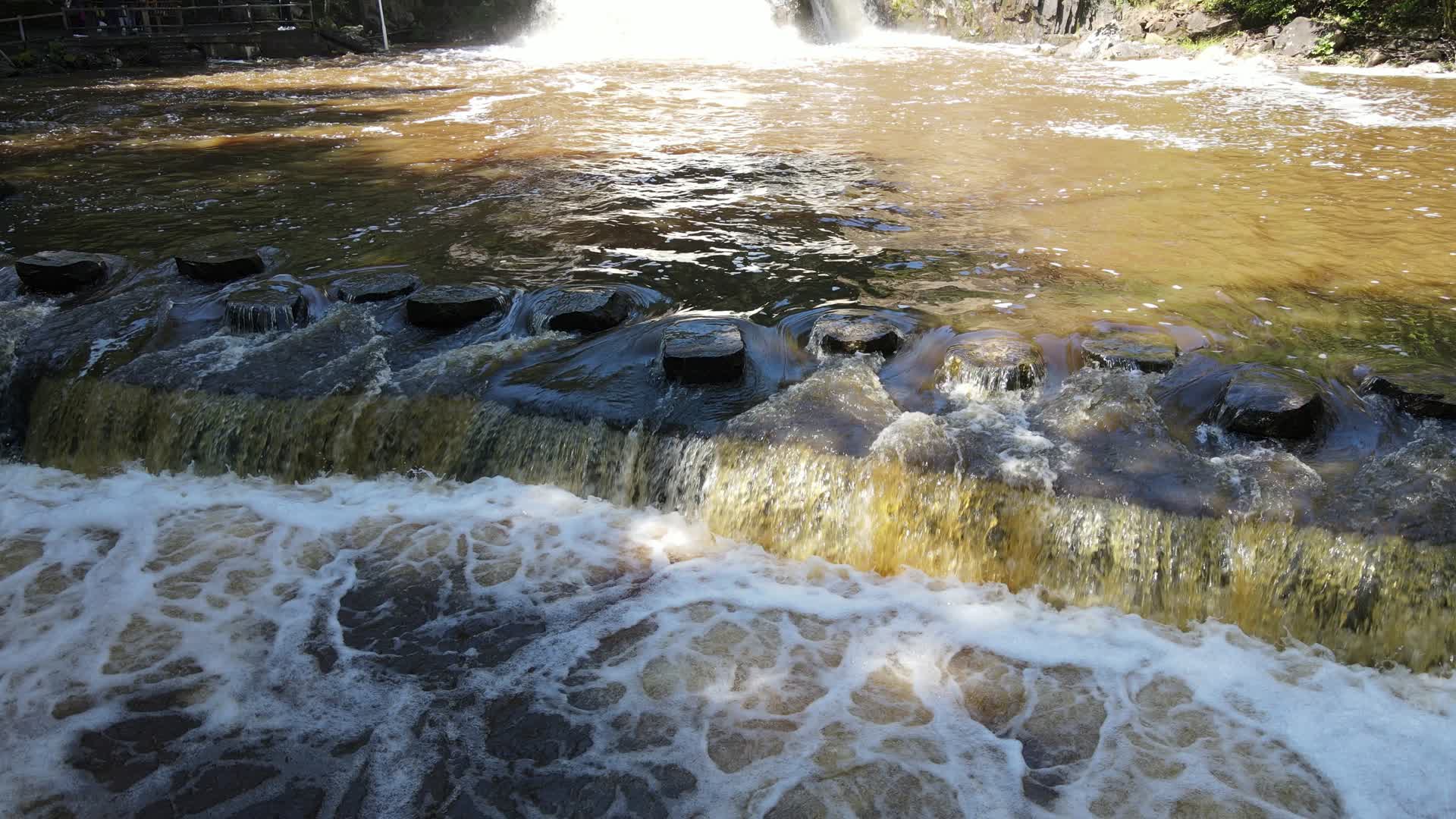 北方秋季五花山溪水视频的预览图
