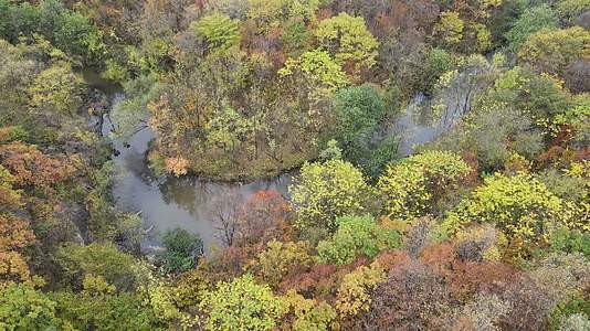 北方秋季风光五花山溪水视频的预览图