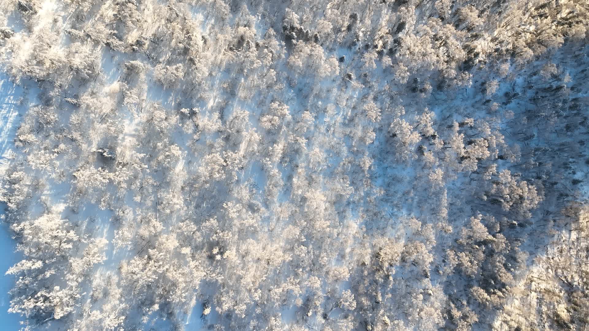 雪乡视频的预览图