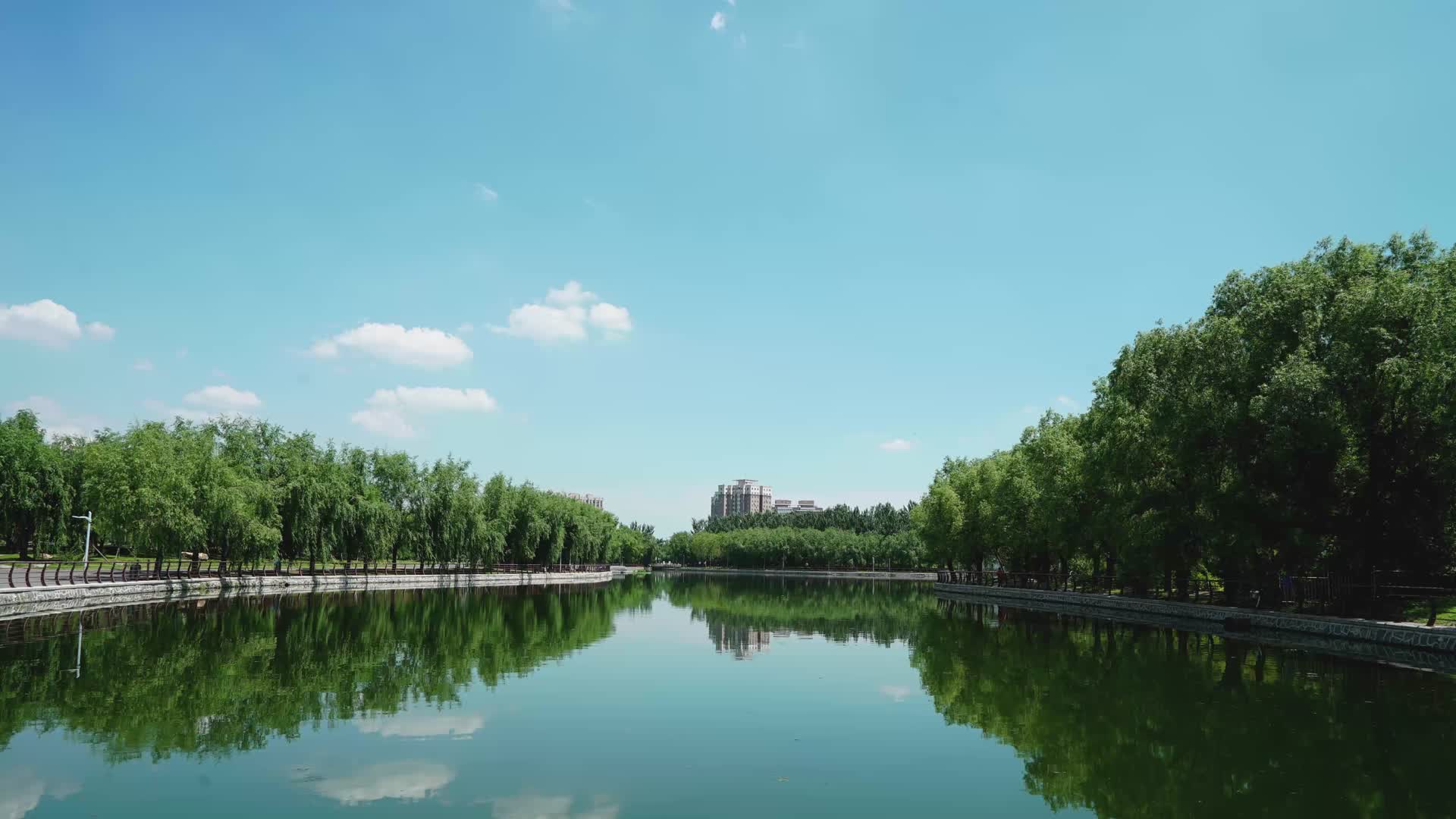 城市公园风景视频的预览图